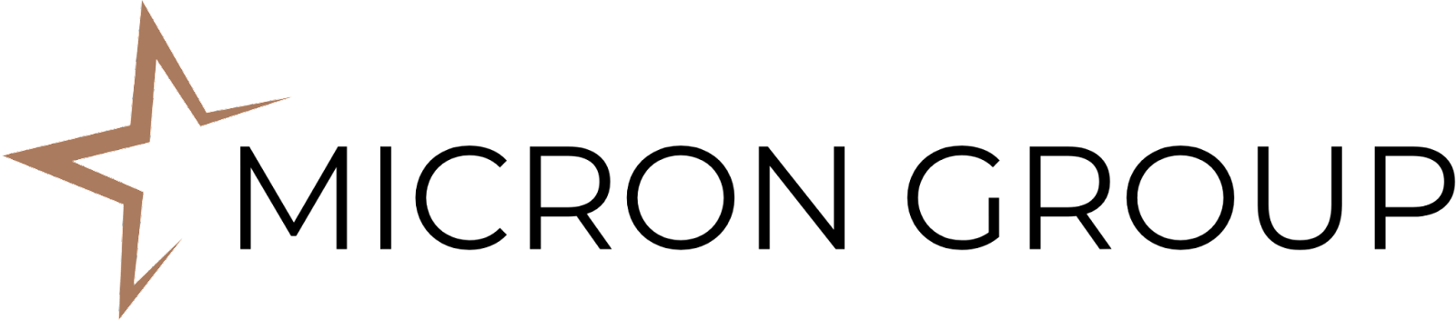 Micron Group обзор