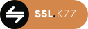 SSL-kzz обзор