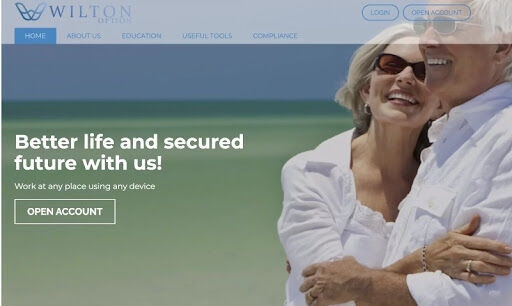 Wilton Option