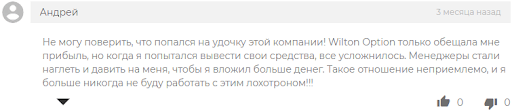 Wilton Option Отзыв