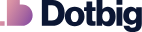 Dotbig обзор