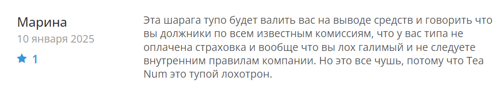 Teanqum негативное мнение