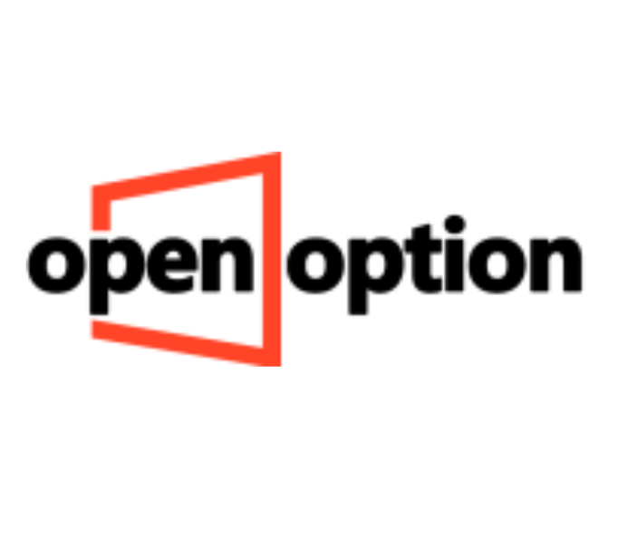 OpenOption разоблачение