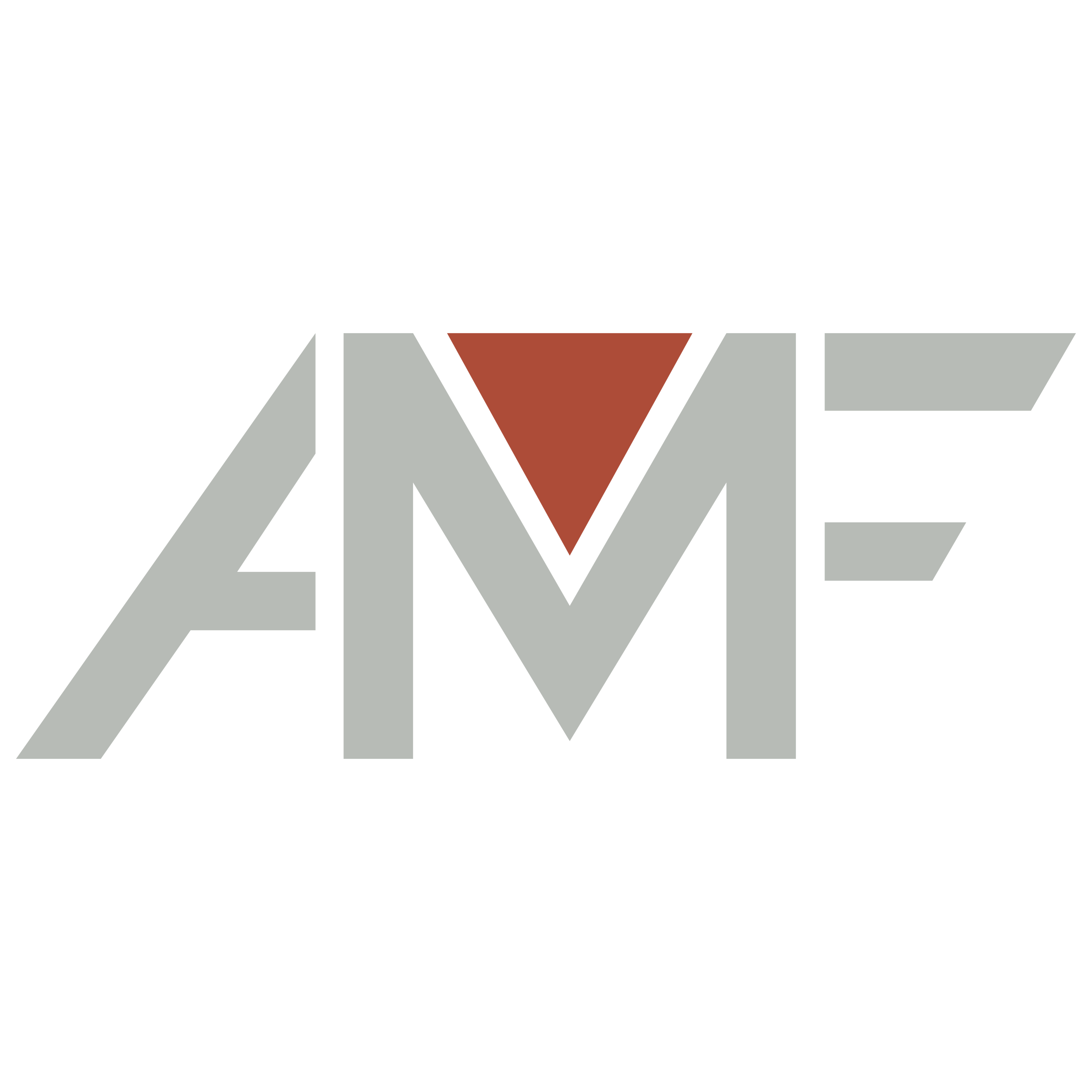 AMF Invest обзор