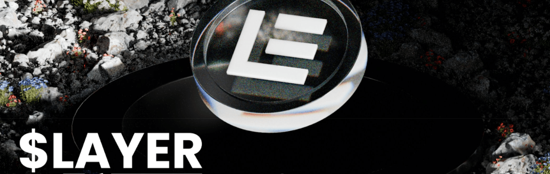 LAYER (Solayer) купить до листинга