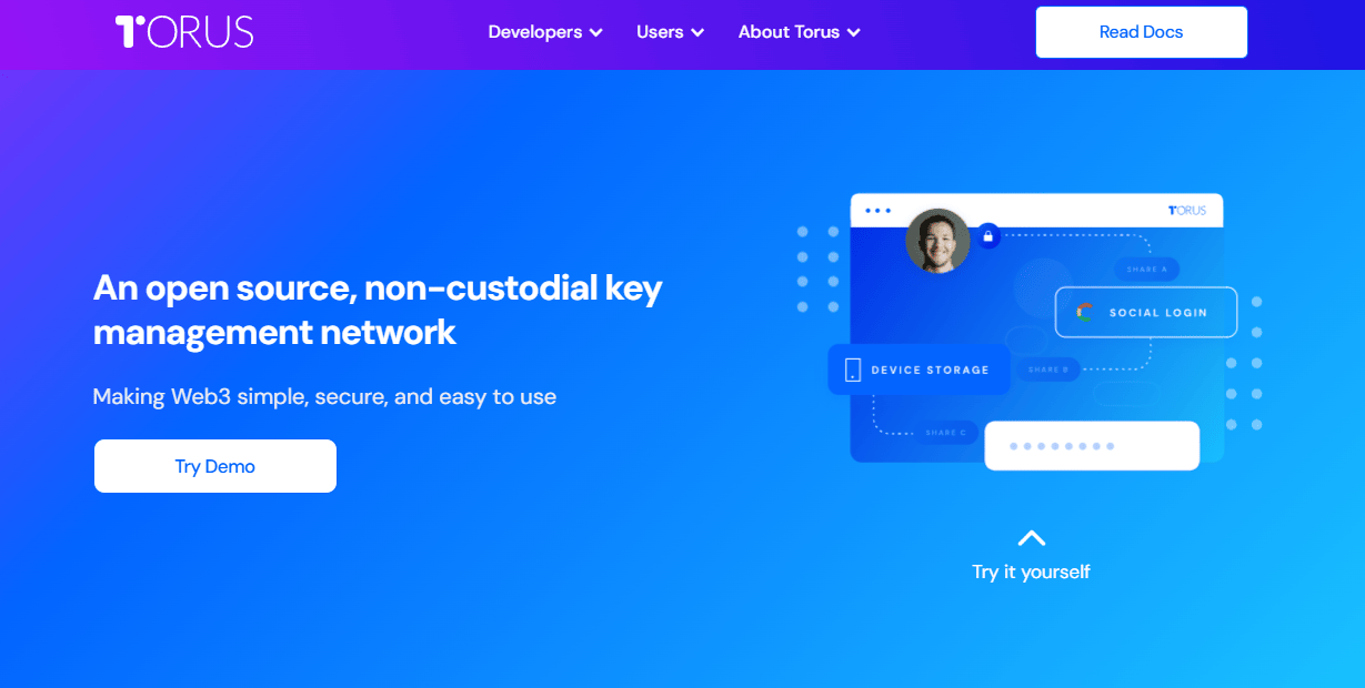 Torus wallet развод