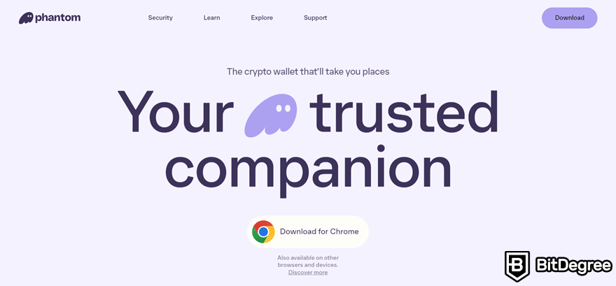 Phantom wallet развод
