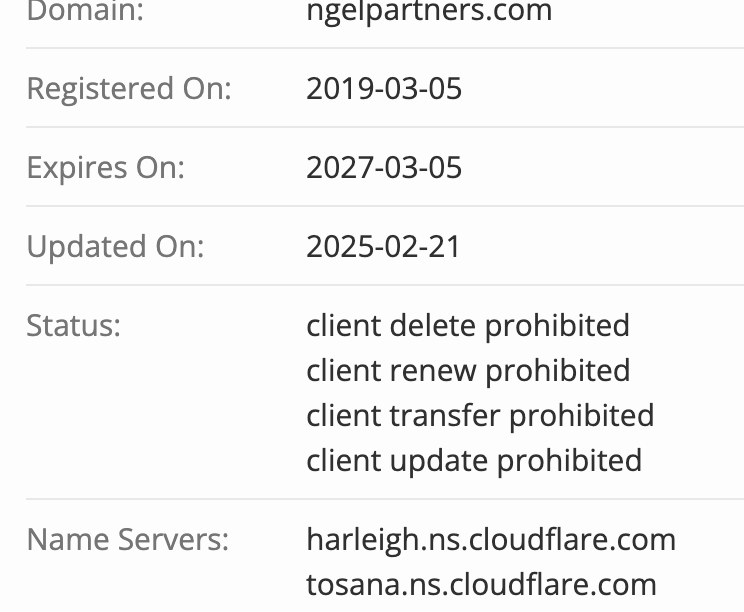 Ngel Partners домен
