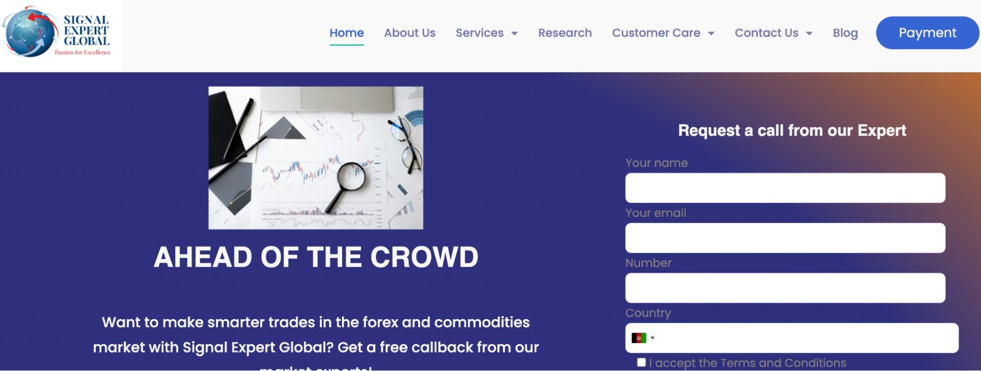 Signal Expert Global обзор