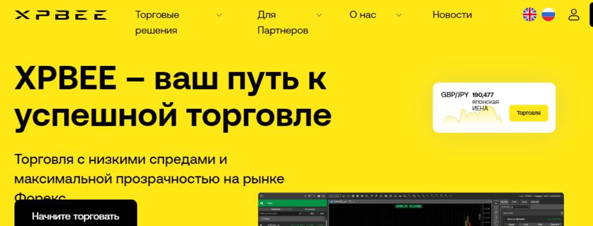 xpbee обзор