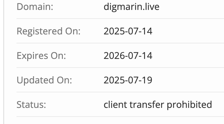 домен Digital Market Income