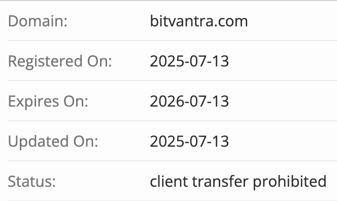 Bitvantra домен