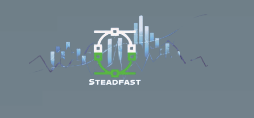 лого Stedfast Foreign Exchange
