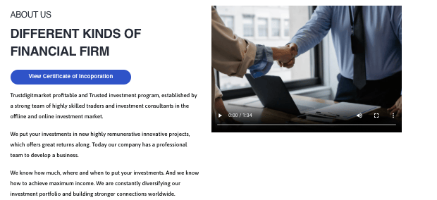 страница сайта TrustDigitMarket
