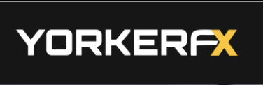 лого Yorker Capital Markets