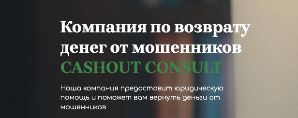 информация о CASHOUT CONSULT