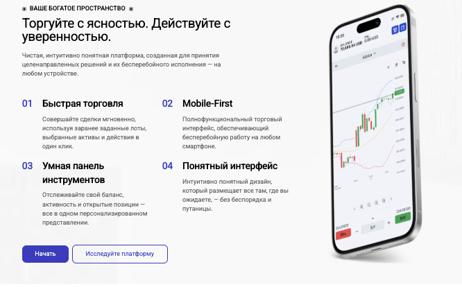 страница сайта Wealthorion