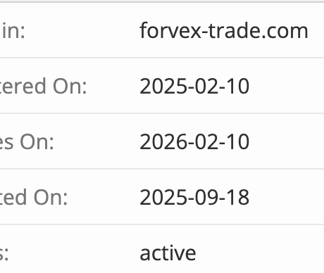 домен Forvex