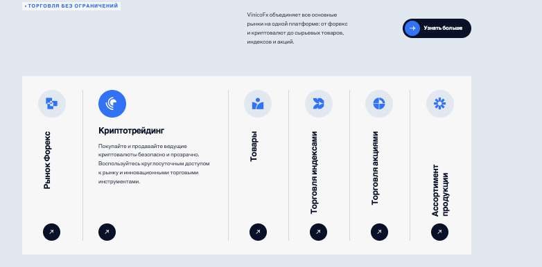 вывод о VinicoFX