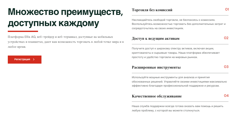информация о Ellis AG