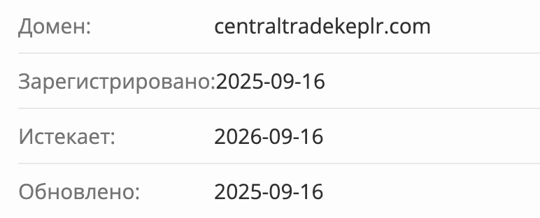 Central Trade Hub домен