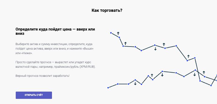 Buleto информация