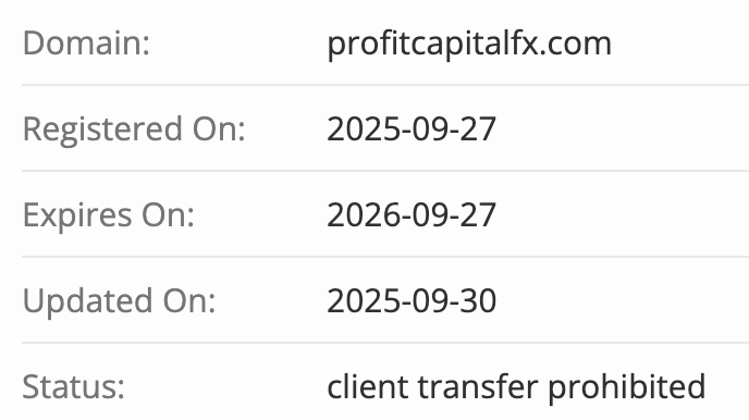 Profit Capital проверка домена
