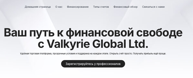 обзор на Valkyrie Global Ltd