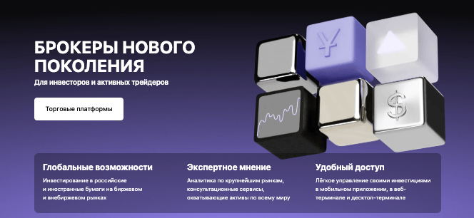 DataInsight Ltd обзор