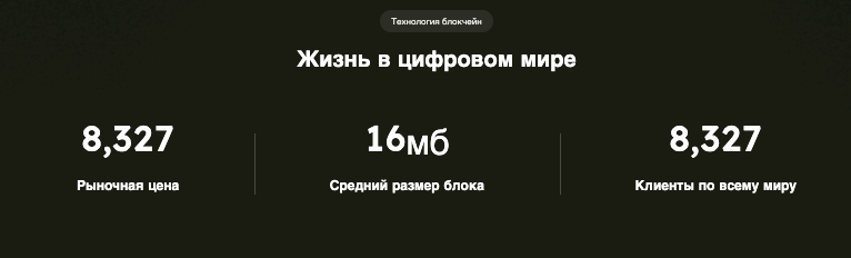 проверка Zyntex