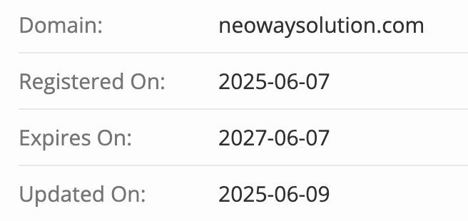 NeoWaySolution домен