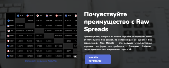 что известно о Alice Markets