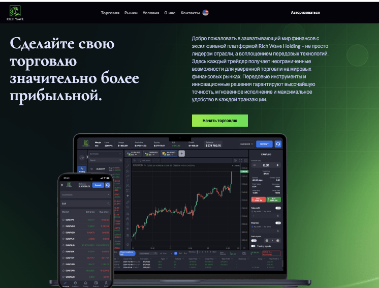 обзор на Rich Wave Holding