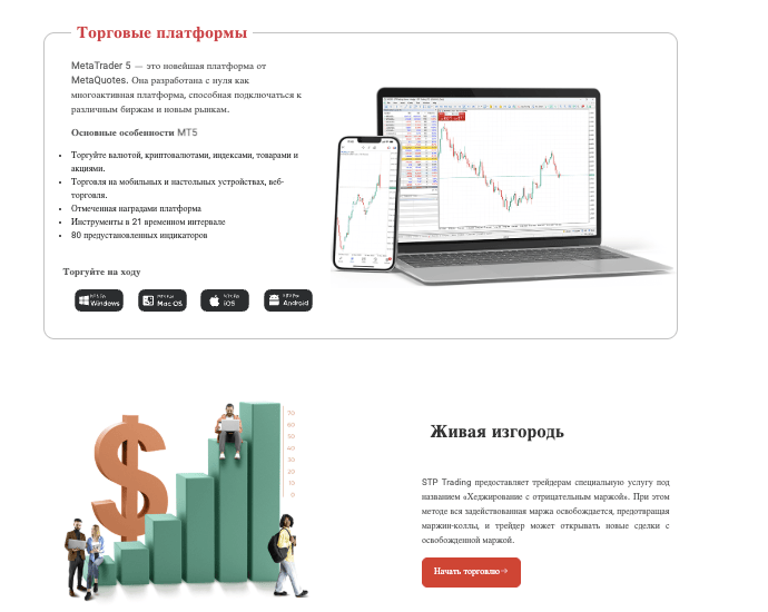 информация о STP Trading
