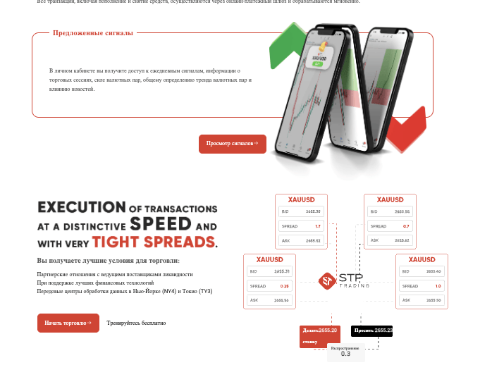 STP Trading обзор