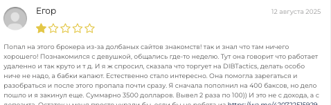 отзыв о DIBTactics