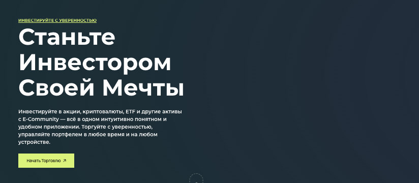 обзор на E-Community