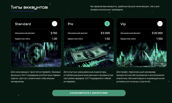 информация о Snowedin